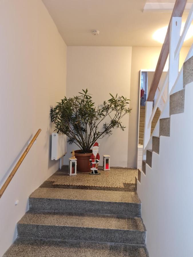 Kurort Bärenburg Haus Fernblick 아파트 외부 사진