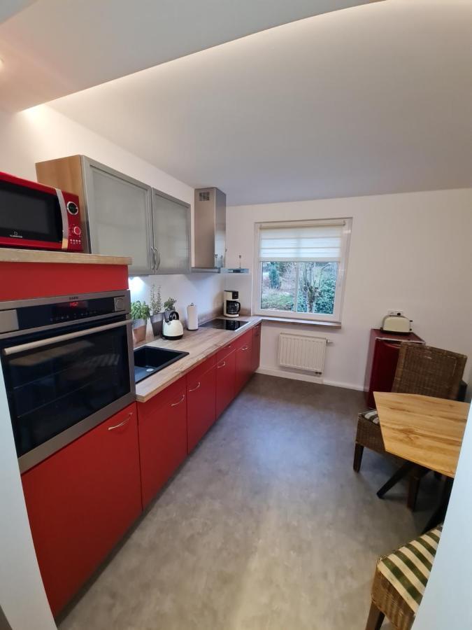 Kurort Bärenburg Haus Fernblick 아파트 외부 사진